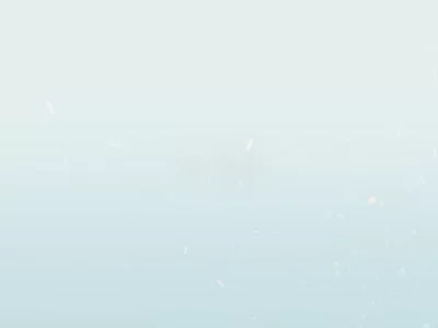 贾蕾